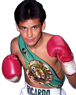 ダーツ TRiNiDAD Undisputed RICARDO LOPEZ ダーツ TRiNiDAD Undisputed RICARDO LOPEZ TRiNiDAD Undisputed